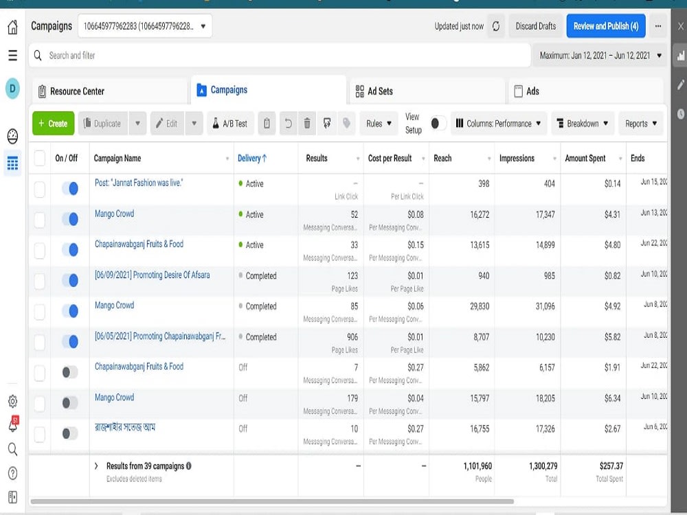 Successful Facebook Ads Campaign Setup for Your Business | Upwork
