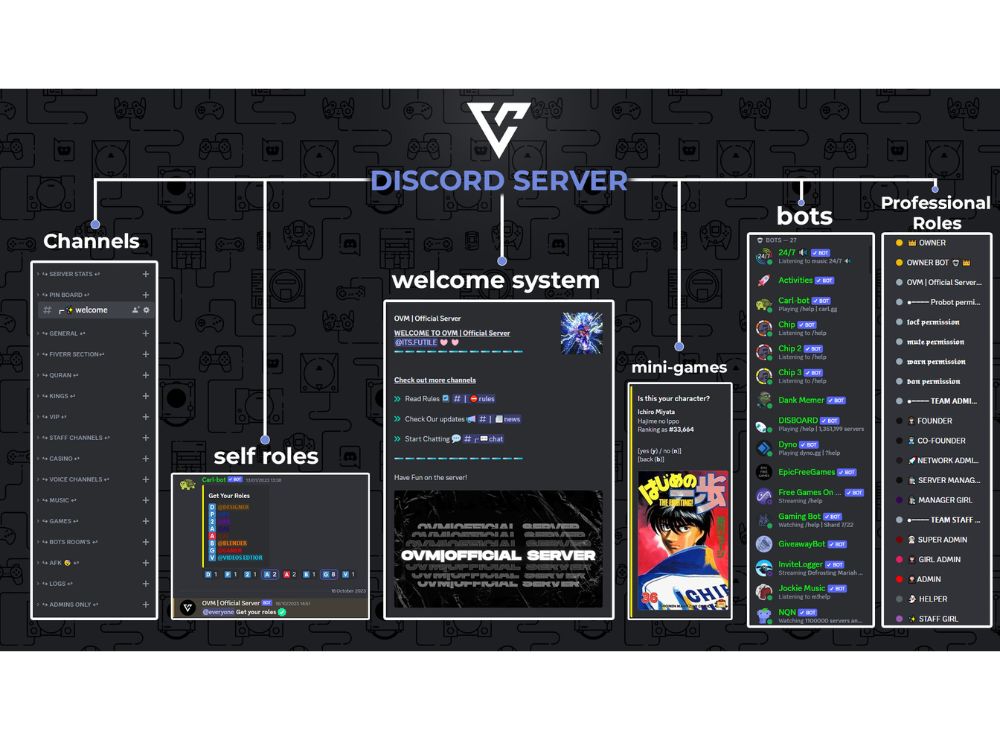 Setup custom discord server for gaming, nft, crypto, anime, fivem