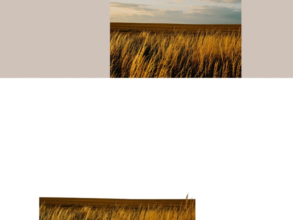 Image Of Background Removed And Create Shadow In It Upwork Image Of Background Removed And Create Shadow In It Upwork