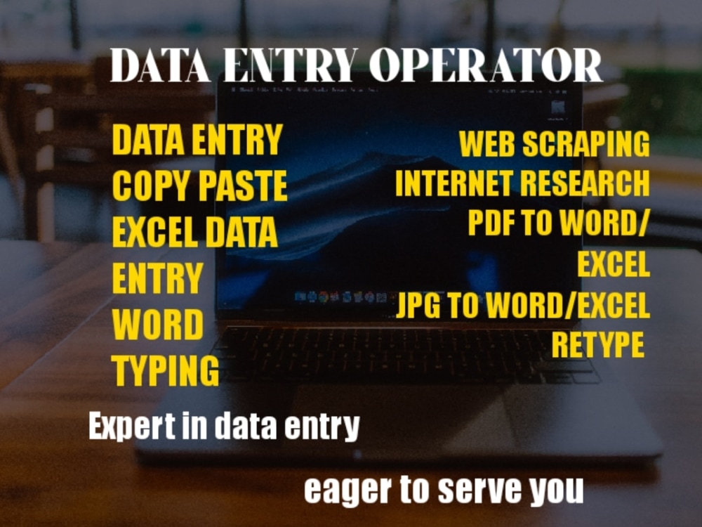 Data Entry 100 Manuel entry Upwork