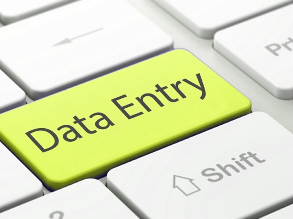 Accurate and efficient data entry services on time and with high ...