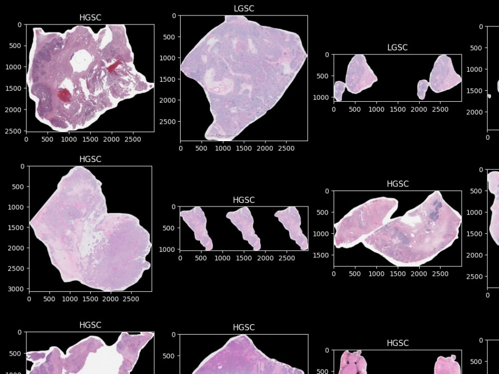 A Great Machine Learning and Predictive Model | Upwork