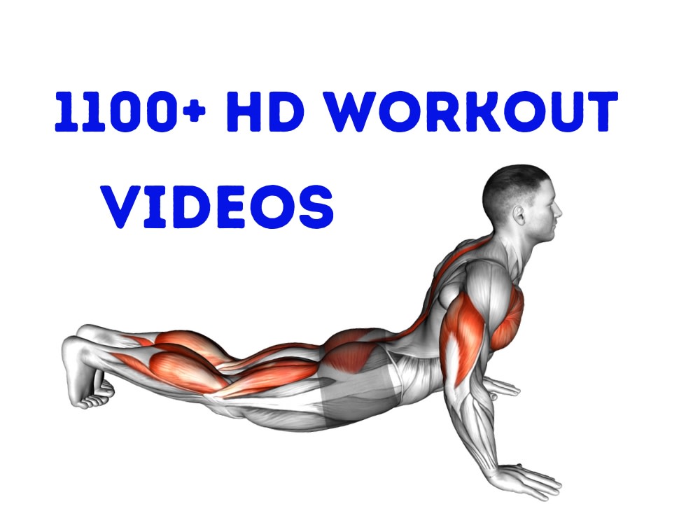 3D Fitness Animation Workout Videos, Gym Exercise Animation Upwork