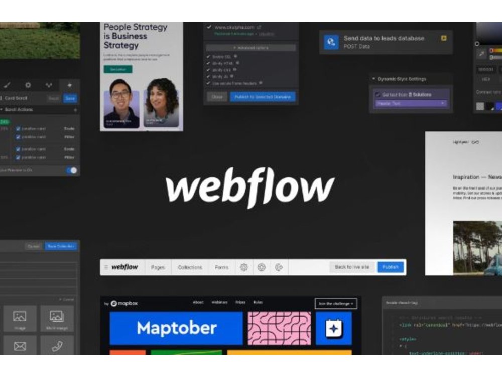 A custom designed Webflow website for your business. | Upwork