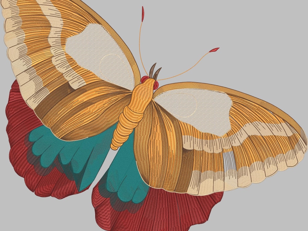 A well defined embroidery design. Upwork