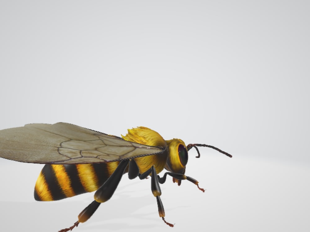 A 3d images of honeybee | Upwork