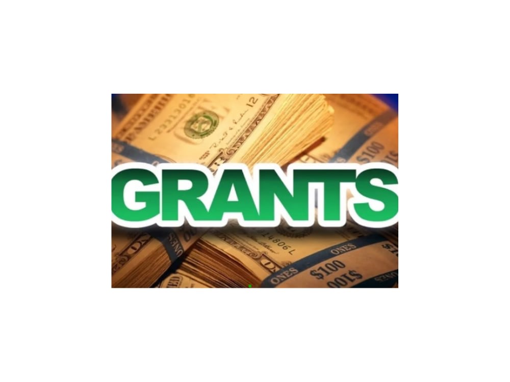 A grant application for your business/nonprofit organisation Upwork