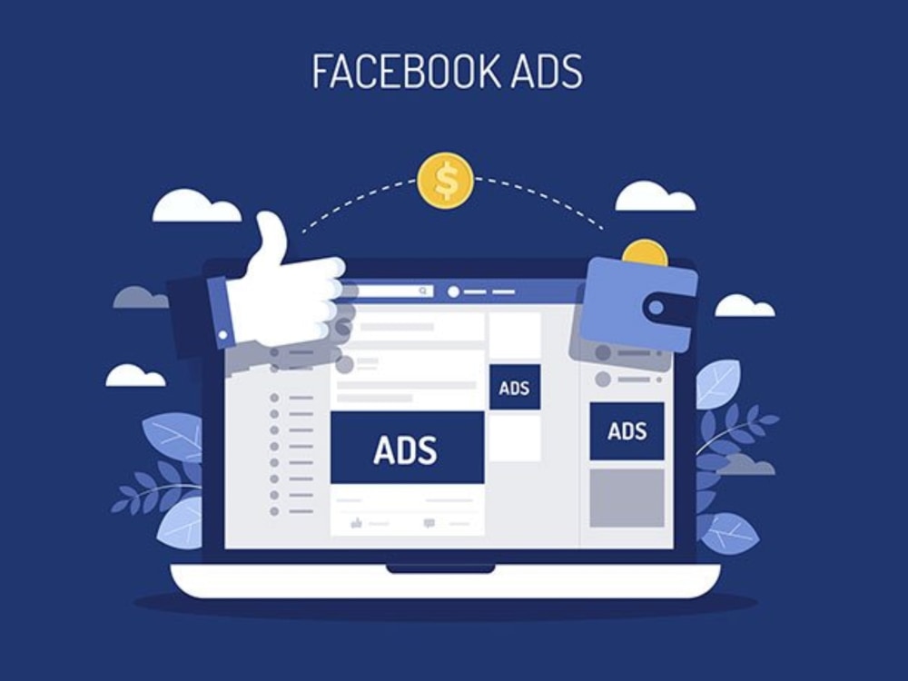 You Will Get Facebook Ads Campaign, Facebook Ads Instagram Ads For