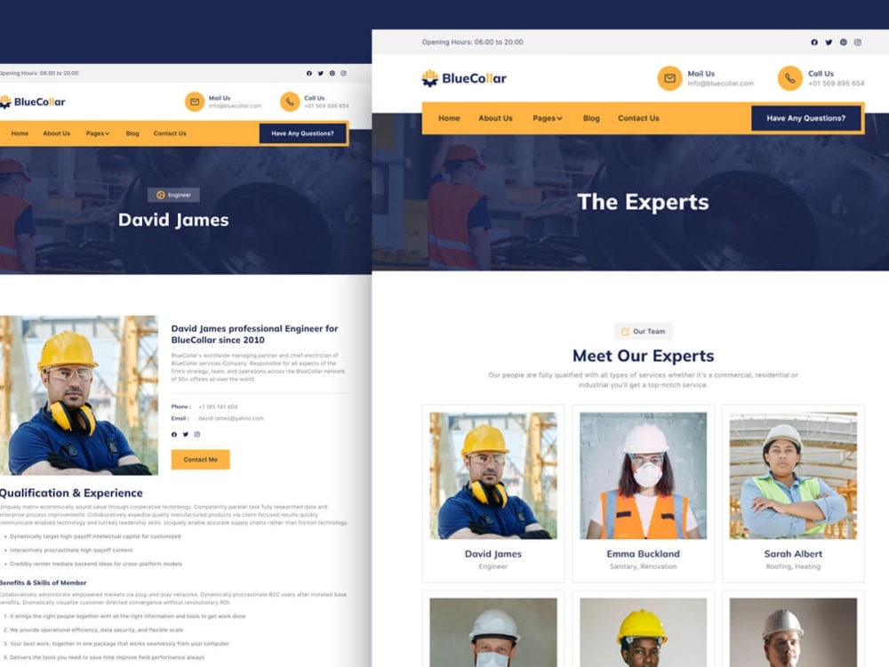WordPress Designer | Developer | WordPress Website | WordPress Expert ...