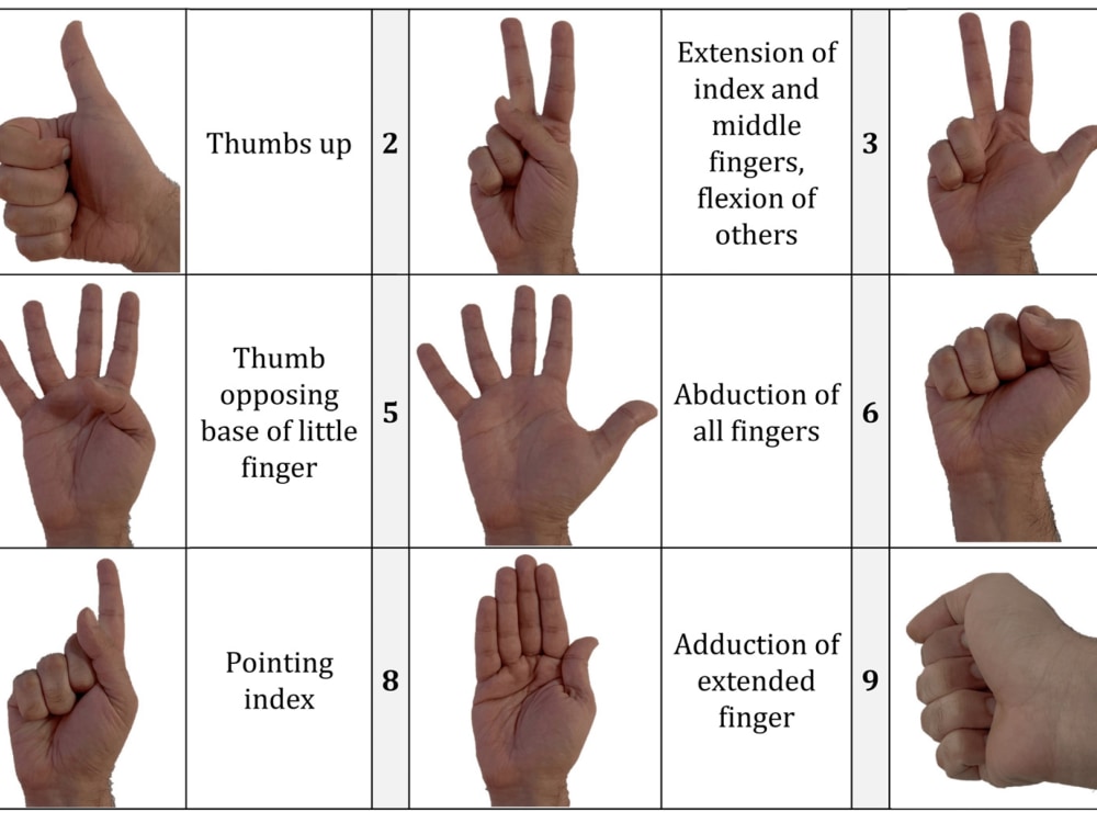 A hand gesture recognition system | Upwork