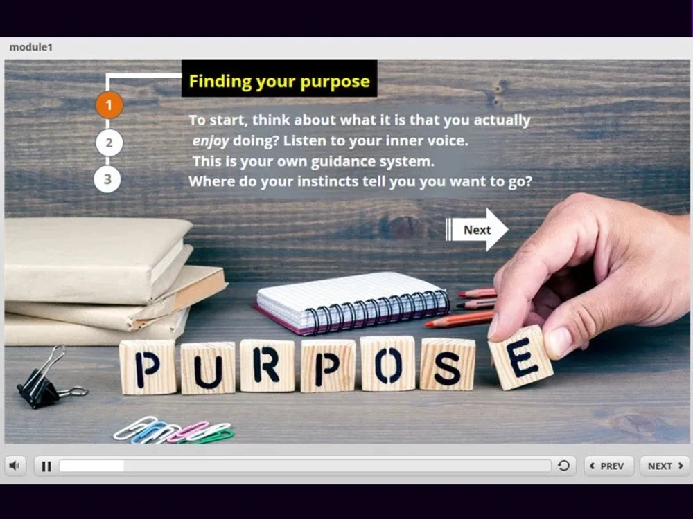 An interactive module by Articulate 360 (Storyline & Rise 360) | Upwork