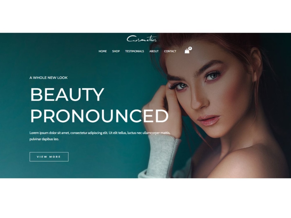 WordPress Web Design - Elementor -Wordpress Web Developer -Wordpres ...