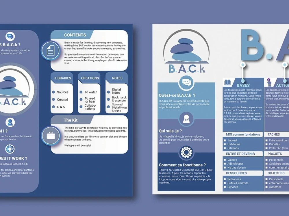 Professional infographics for your project Upwork