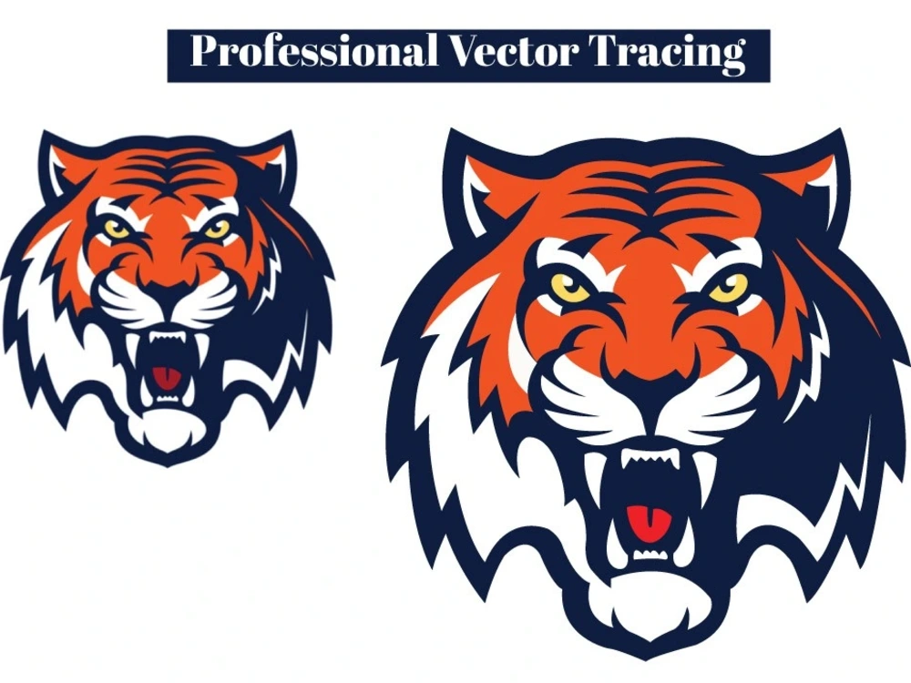 Professional Manual Vector Tracing Upwork Professional Manual Vector Tracing Upwork