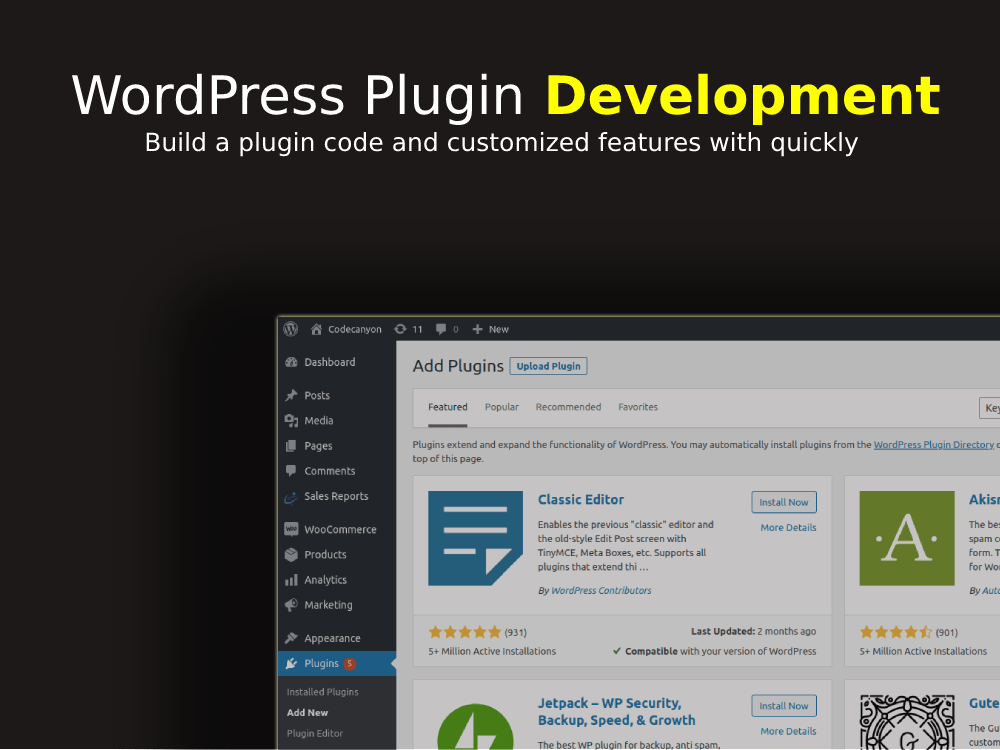 Custom WordPress Plugin Development Services | Upwork