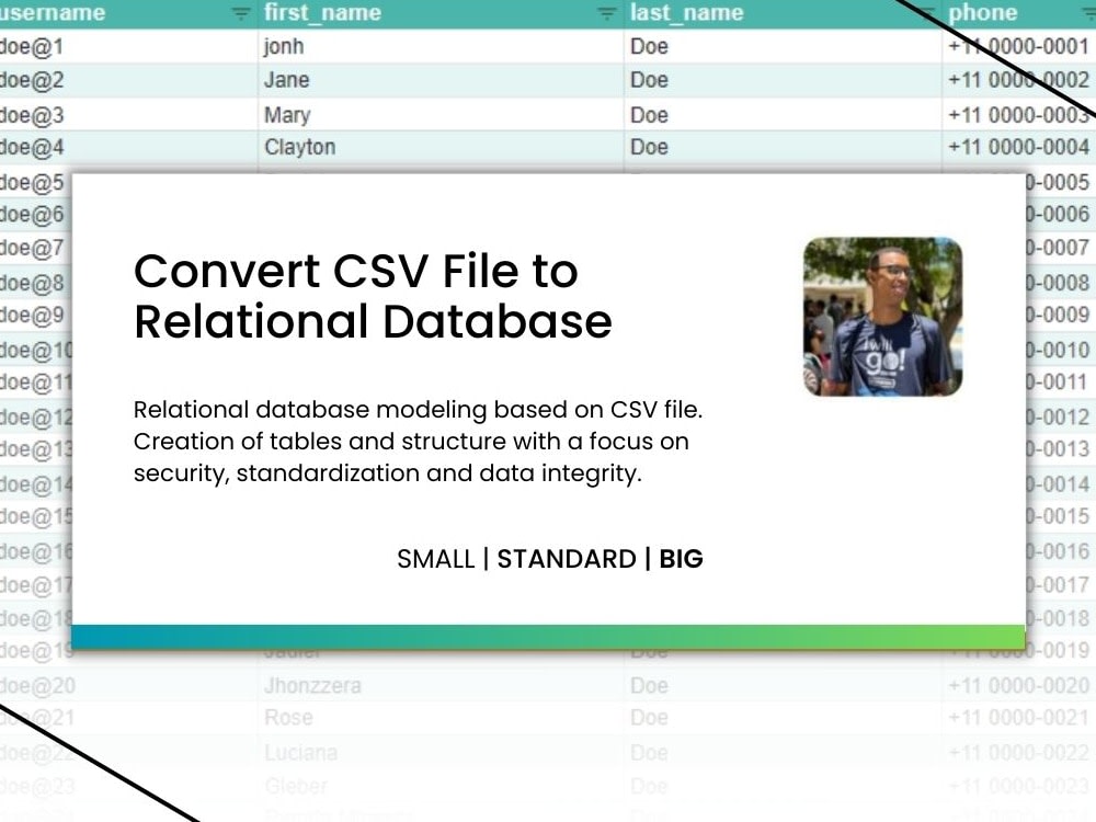 A high-quality relational database based on CSV files. | Upwork