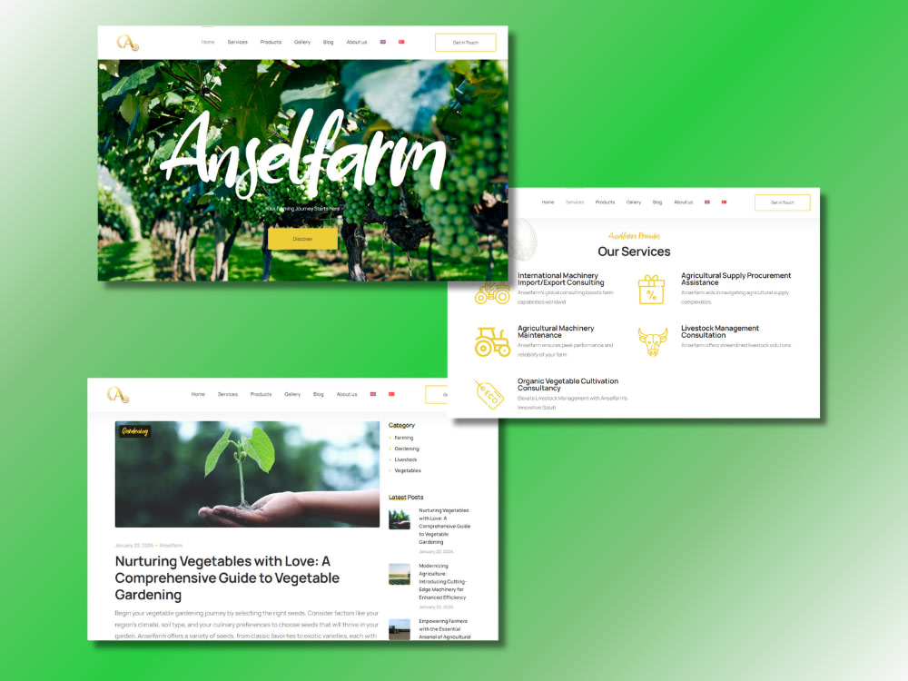WordPress Website Design | WordPress Expert | Upwork