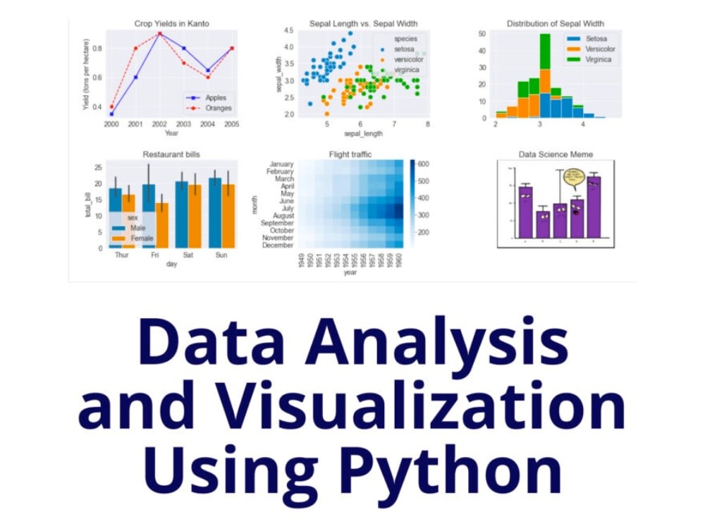 Statistical data analysis and visualization reports in Python | Upwork