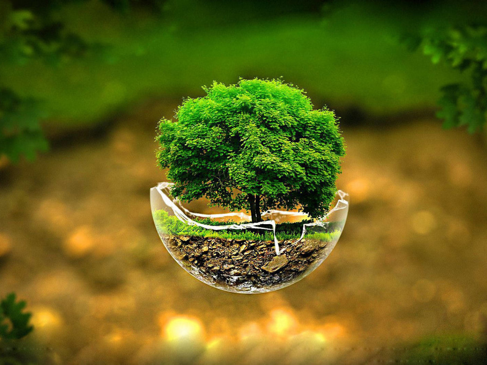 Design > Album Cover Design | Upwork