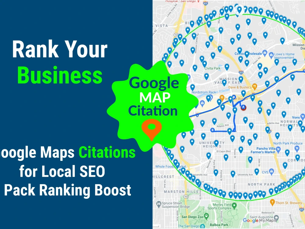 Google Map Ranking Service