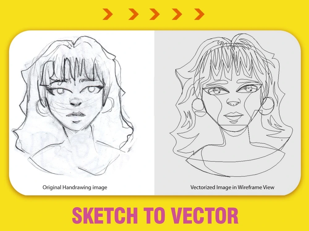 100% Manual trace of an image to vector. | Upwork