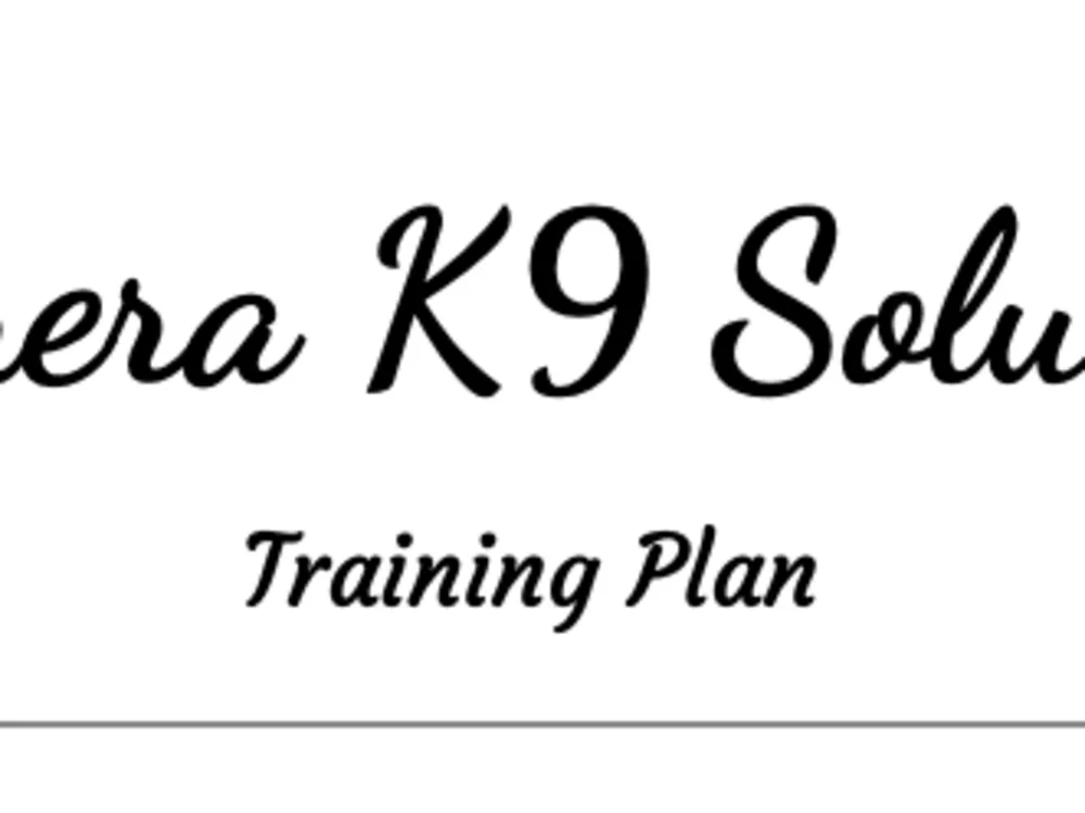 Professional Dog Training Housebreaking, Obedience, Behavior Upwork