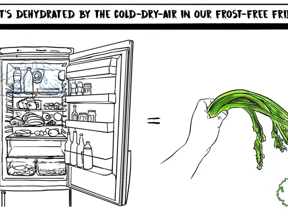 Custom designed whiteboard, sketch or RSA style animation with voice