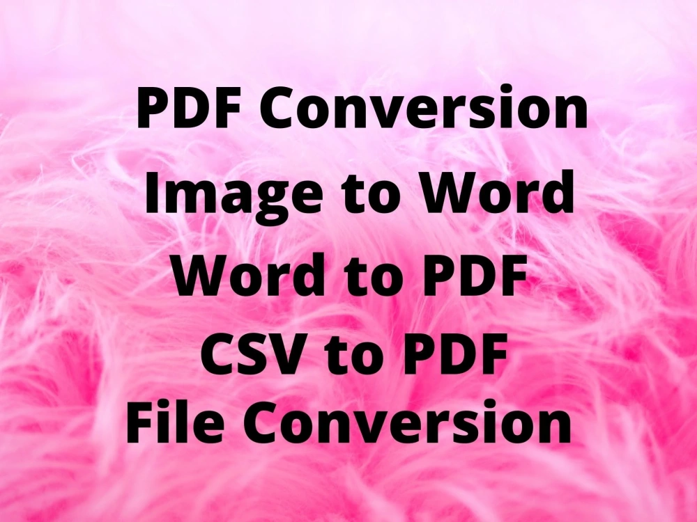 Convert PDF To Word Excel PNG To JPEG PDF To CSV Image To PDF Edit