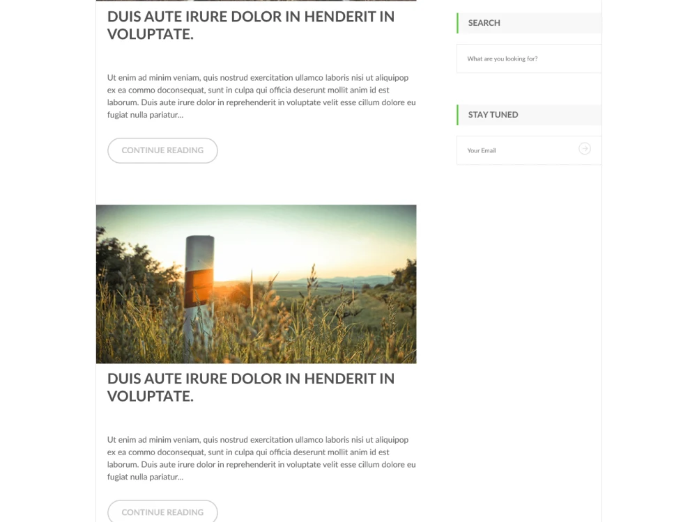Developed custom theme for WordPress | Upwork