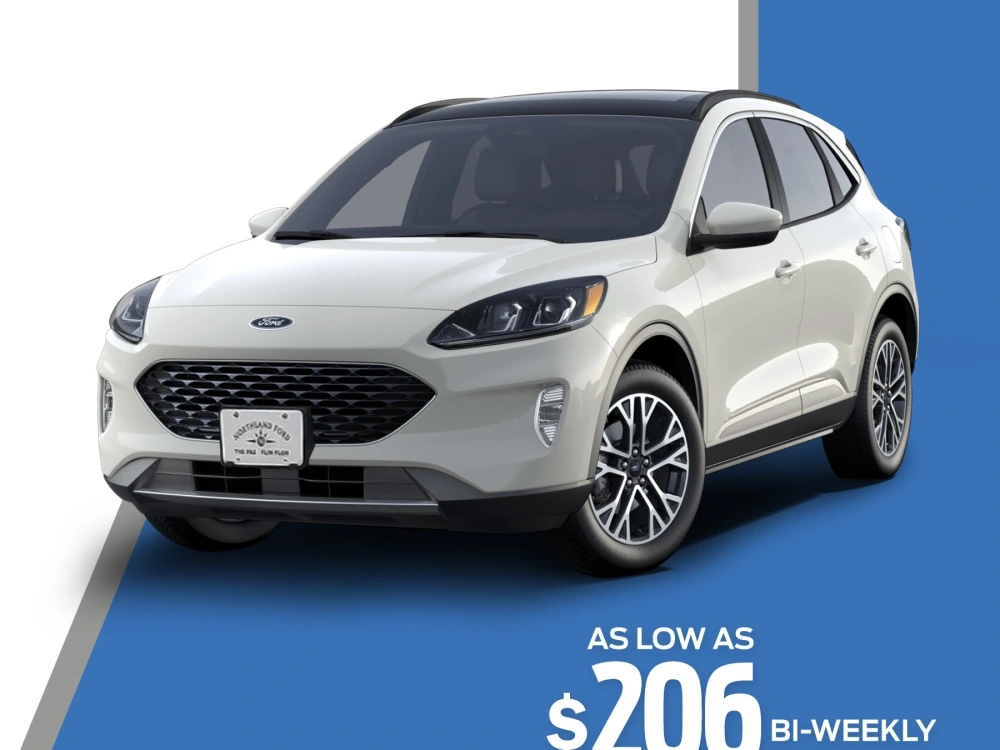 Social Media Posts for Your Dealership (With Graphic Design & Captions