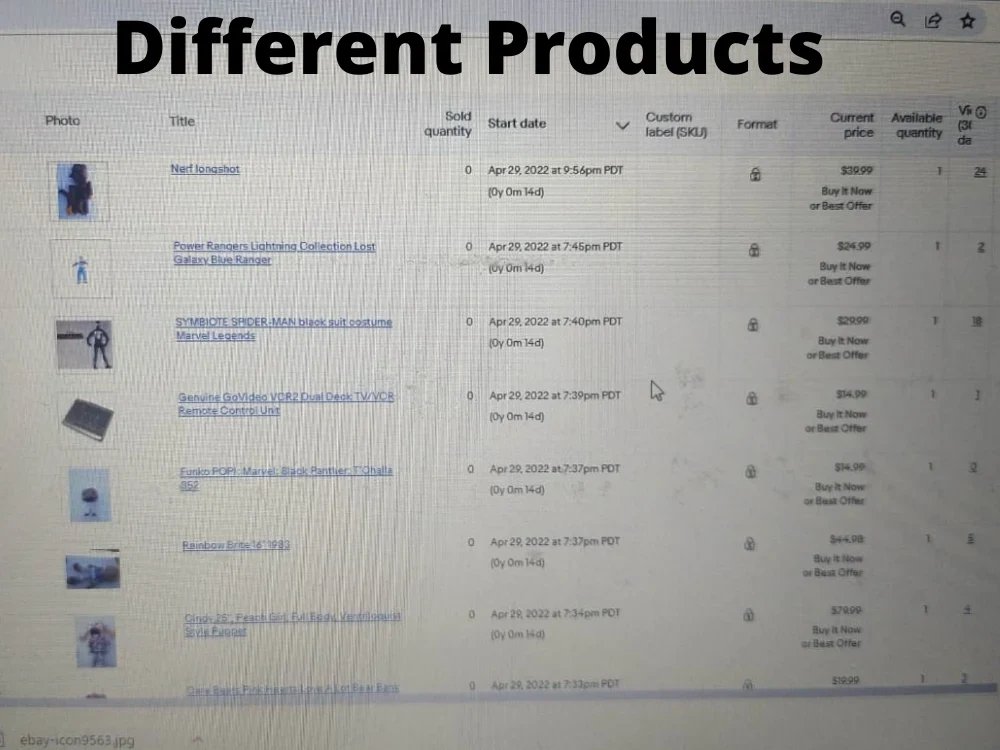 Dedicated and Expert eBay Store Manager Virtual Assistant Upwork