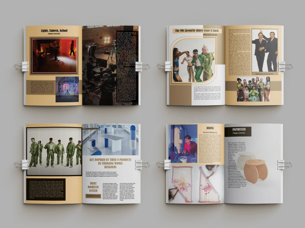 Professional Product Catalog, Magazine, Annual Report and Boucher