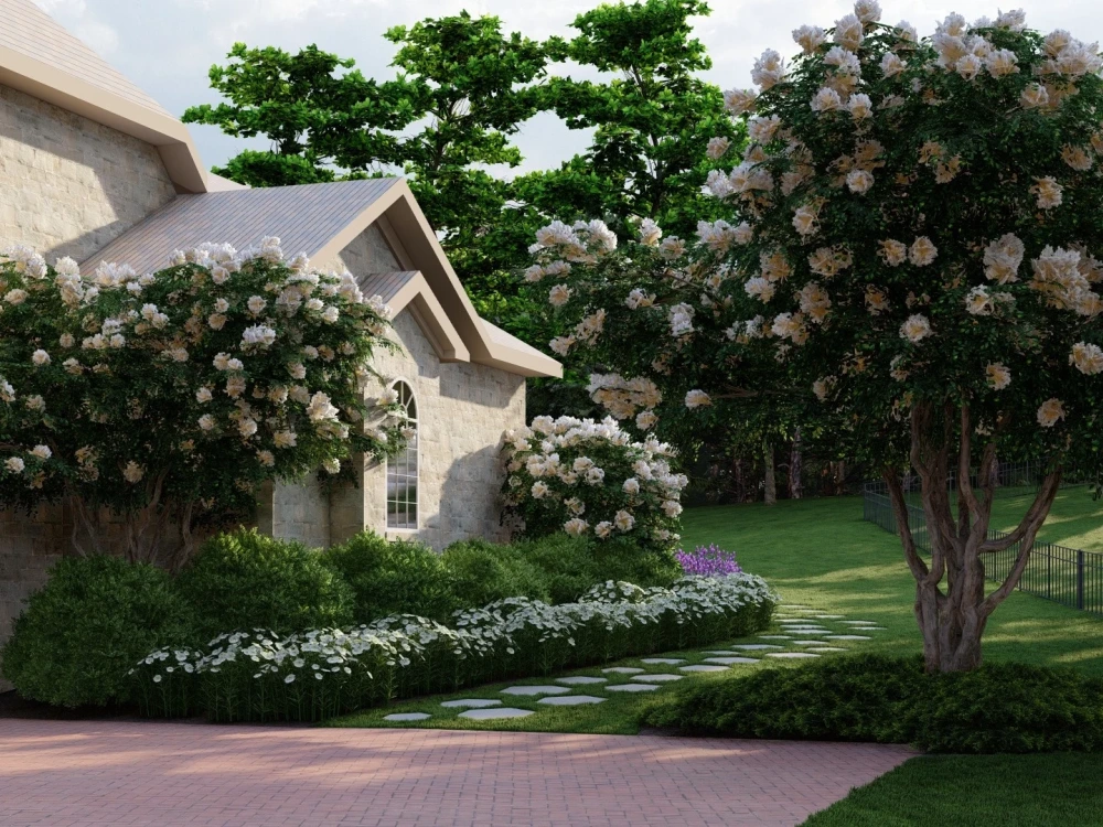 A full yard design project 2d + 3d | Upwork