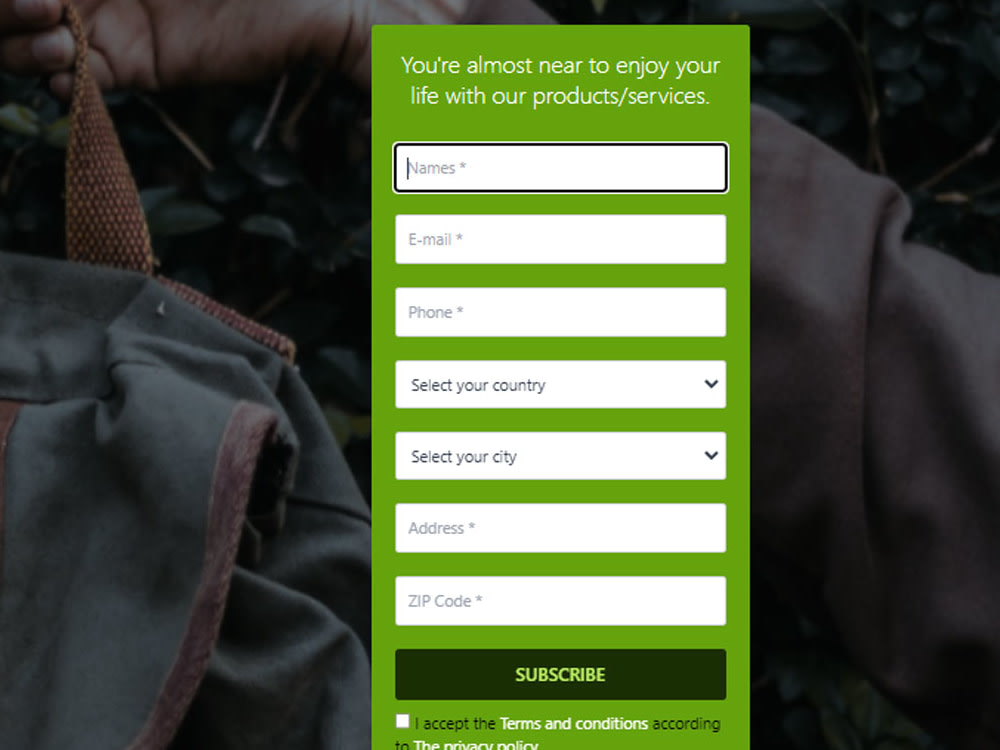 Basic Landing Page template Upwork