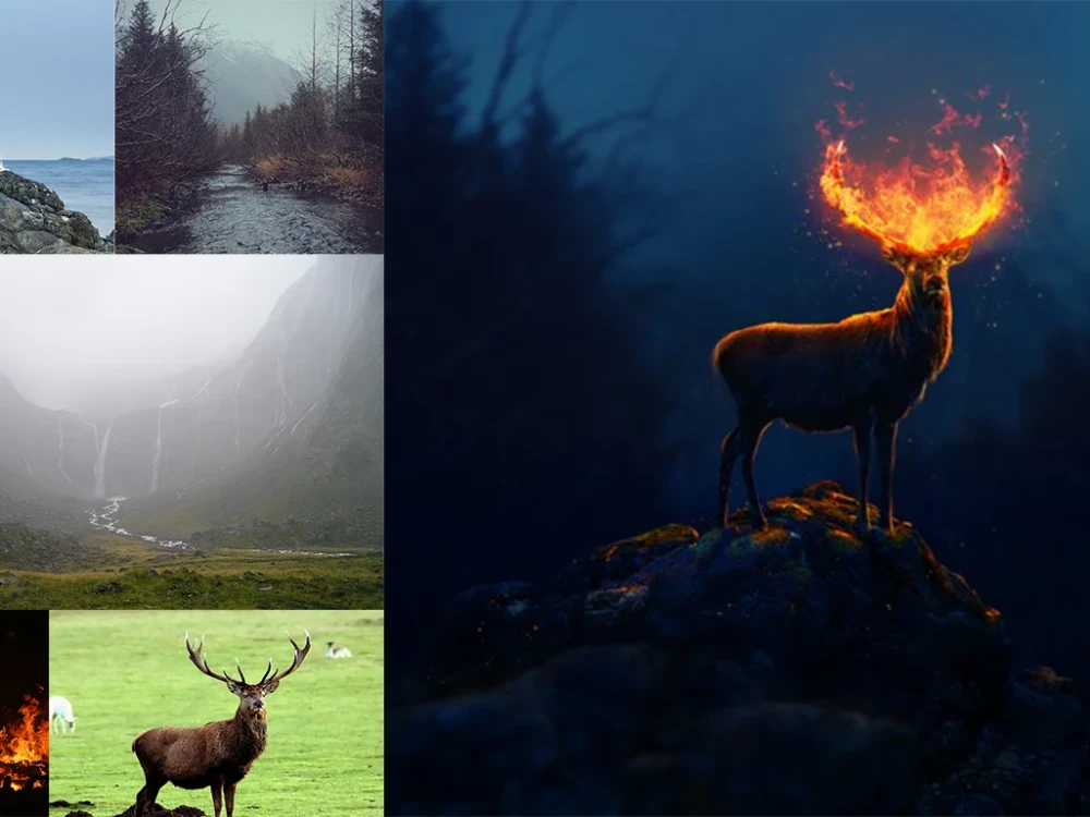 Realistic photo manipulation and photoshop editing | Upwork