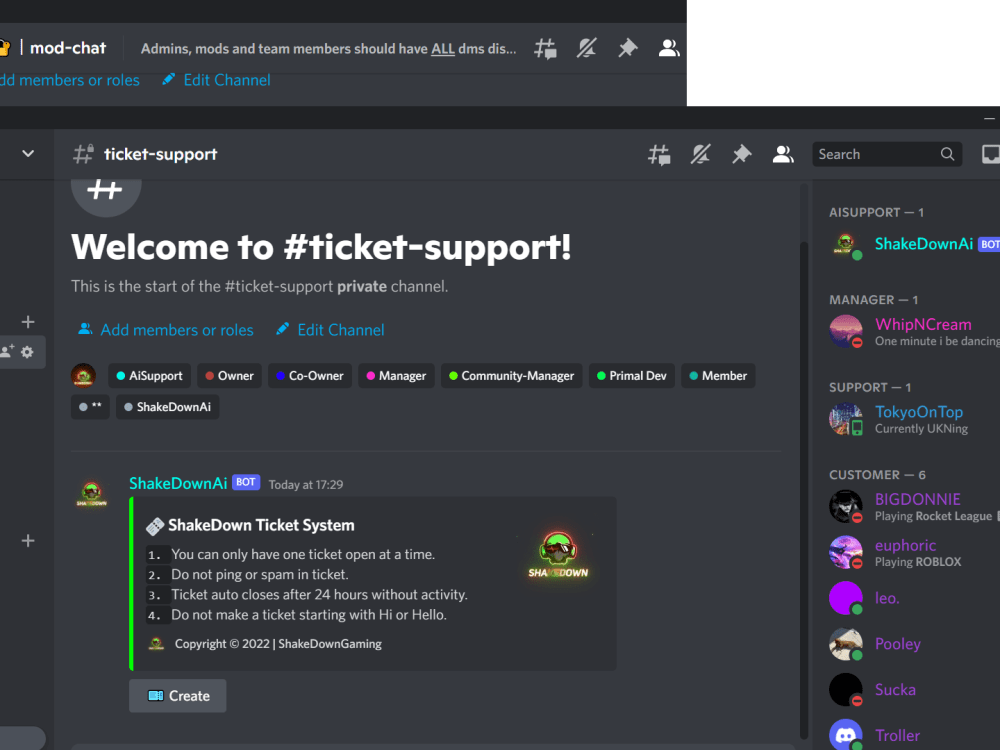 A professional custom discord bot | Upwork