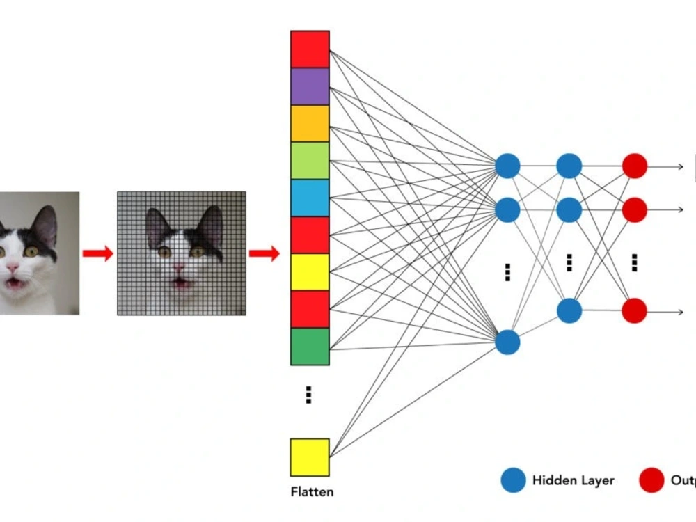 Image Classification Using CNN & Transfer Learning | Computer Vision ...