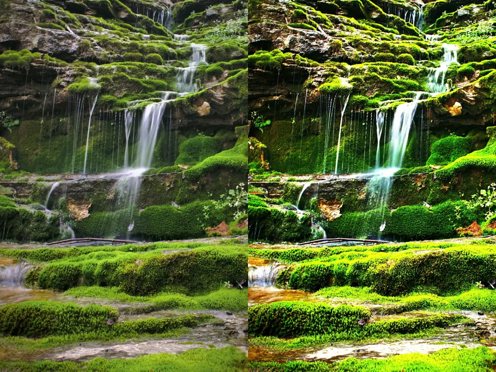 An amazing image edit that will make your photos come alive | Upwork