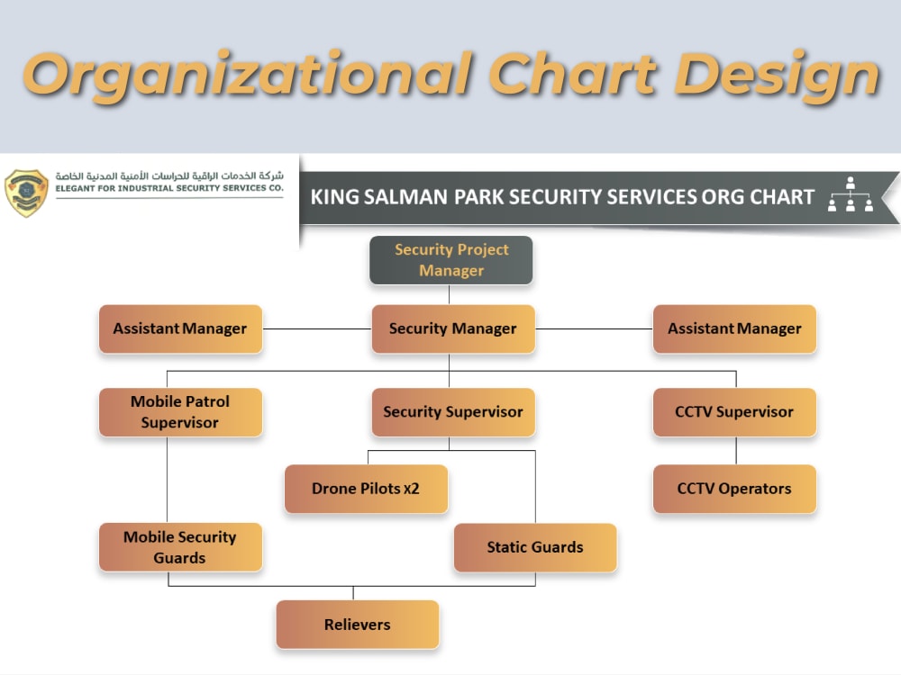 Organizational Chart Design Professionally | Upwork