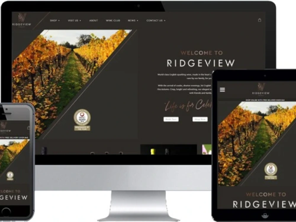 A responsive custom designed WordPress website for your business | Upwork