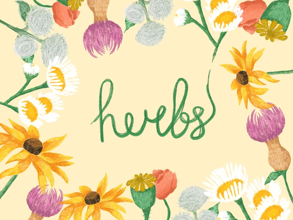 Fantastic illustrations for your projects | Upwork