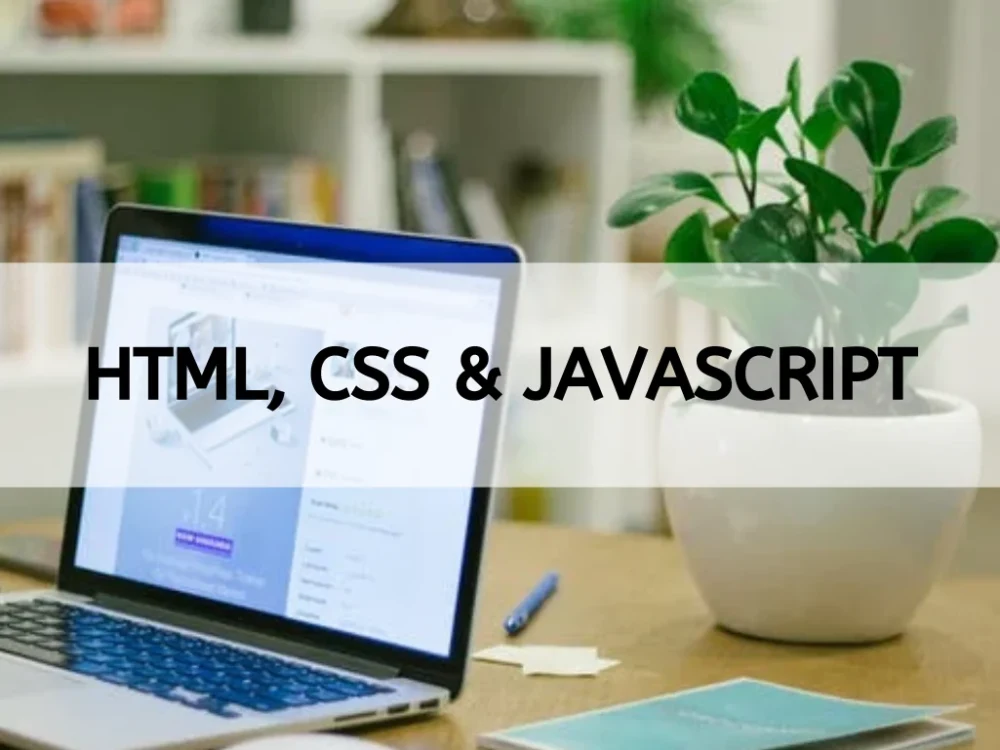 A simple HTML, CSS and javascript website | Upwork