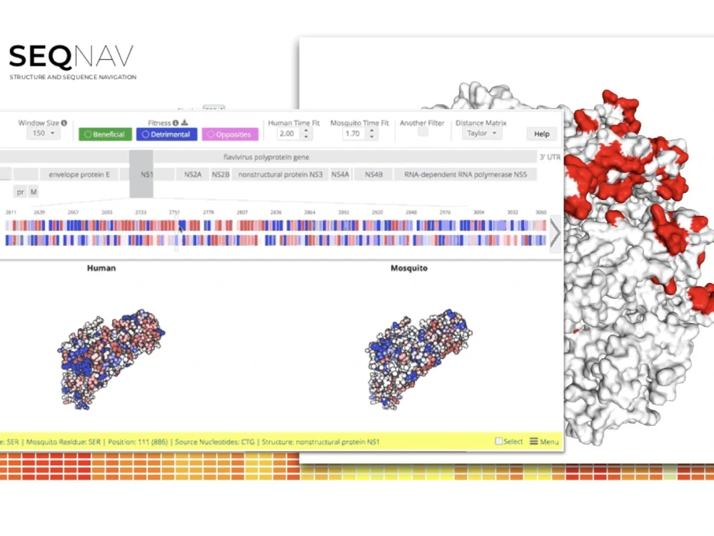 Script / dashboard with a detailed data analysis report and beautiful ...
