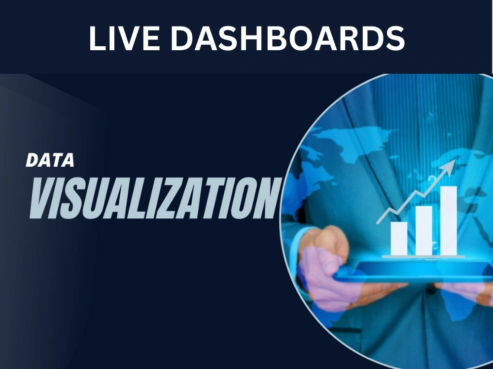 Live dashboards and data visualization and analysis on Excel | Upwork