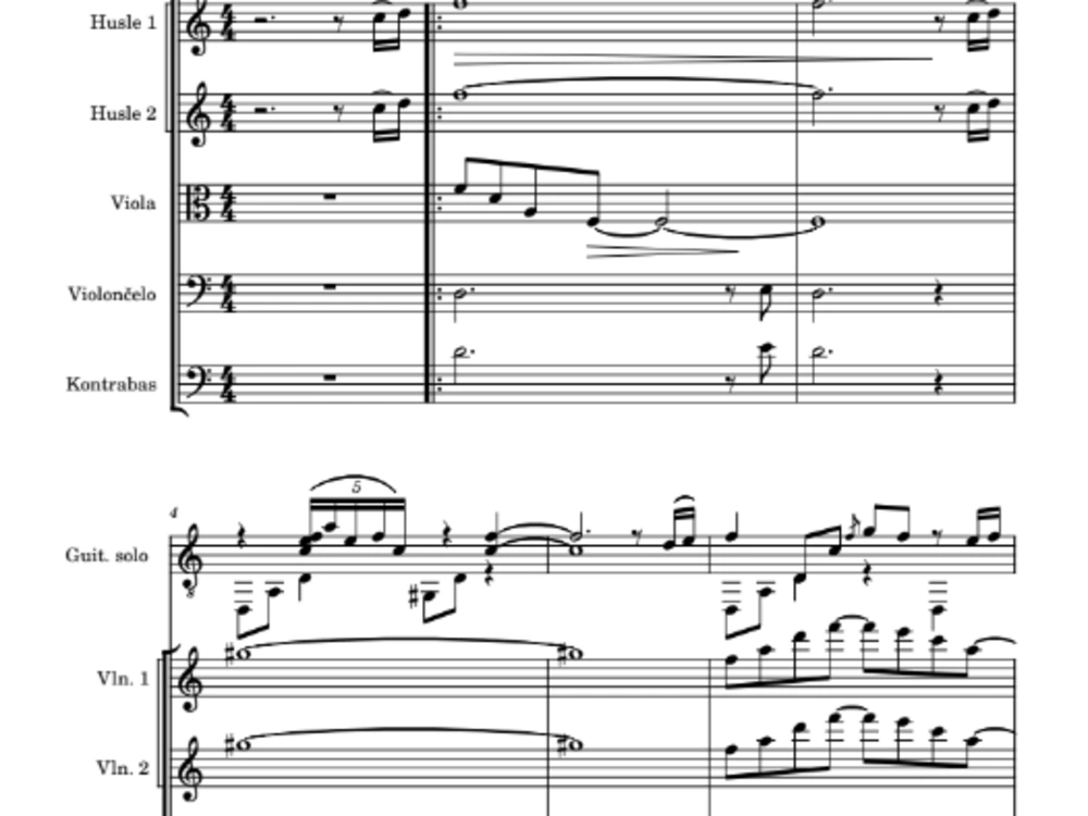 Transcription either of a handwritten score or an audio recording | Upwork