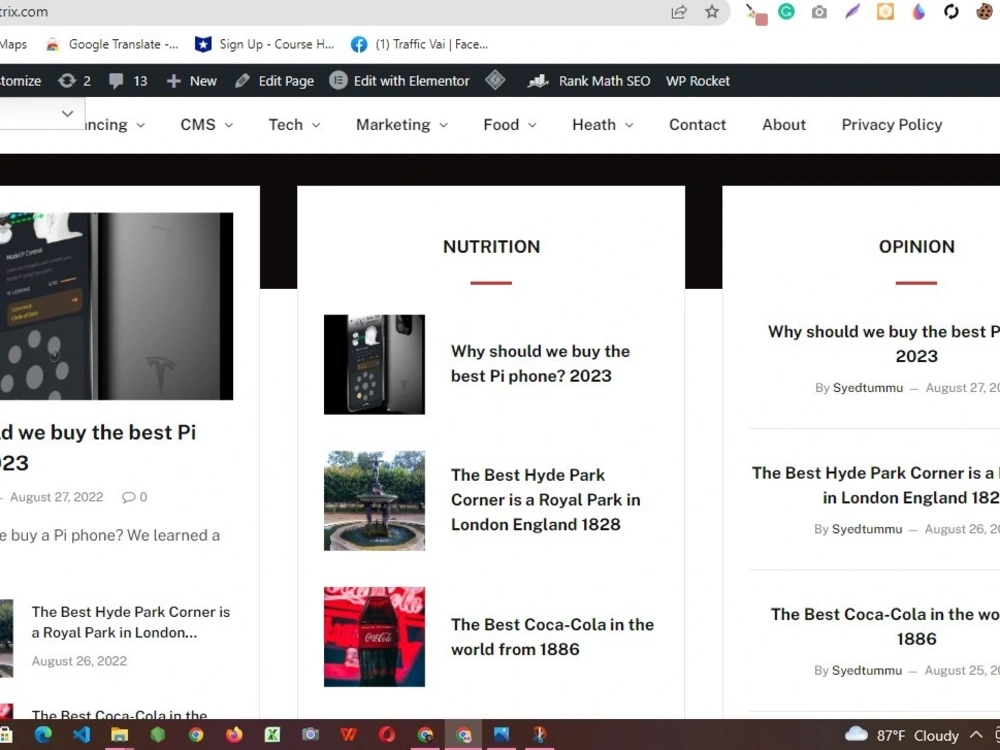 Design a responsive WordPress website using elementor | Upwork