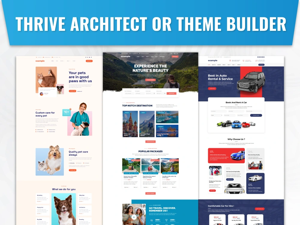 Website Build by Thrive Architect, Thrive Theme Builder Landing Pages ...