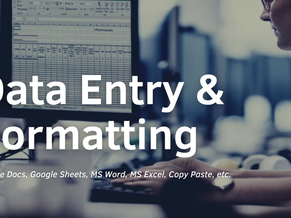 Highly accurate and clean data entry and formatting | Upwork