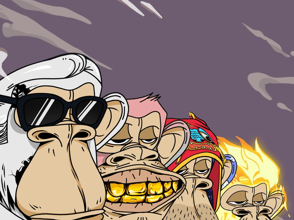 Complete outstanding NFT collection with 10,000 NFTS Upwork