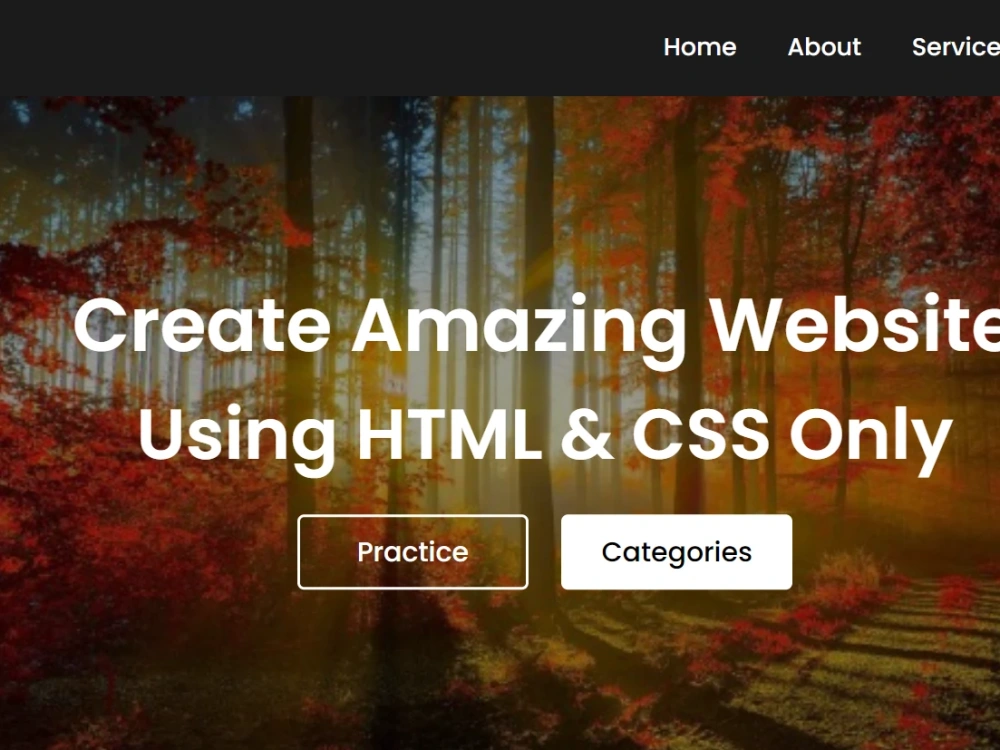 An amazing responsive website with UI/UX design | Upwork